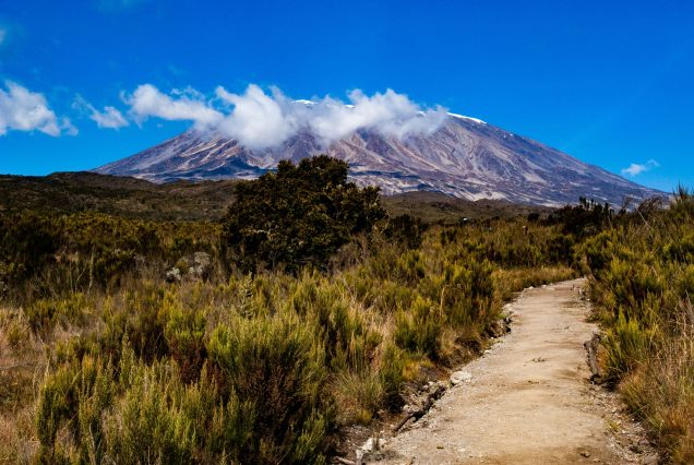 Kilimanjaro Adventure Safari