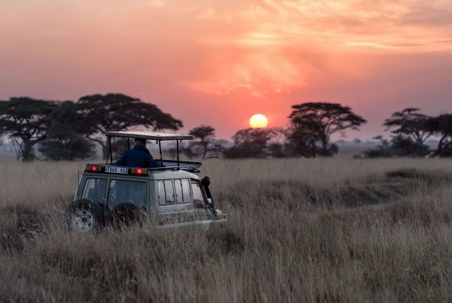 18 days Kenya: lots and lots of safari & beach
