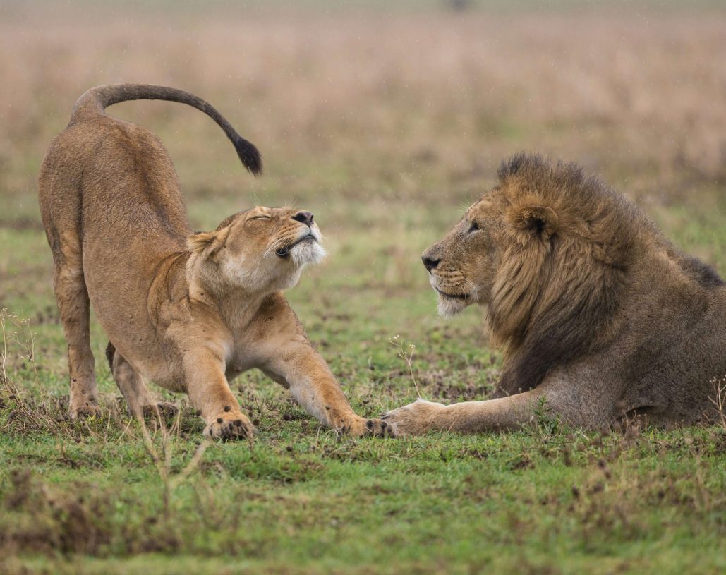 jean-wimmerlin-onzE7gzbyyM-unsplash(1)