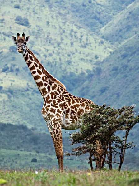 ryan-louderback-tlU1GCDZ7Po-unsplash